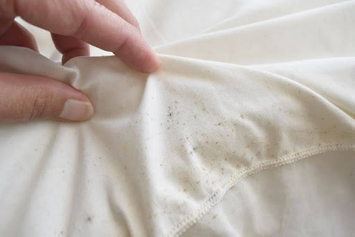 How To Get Mould Out Of Fabric