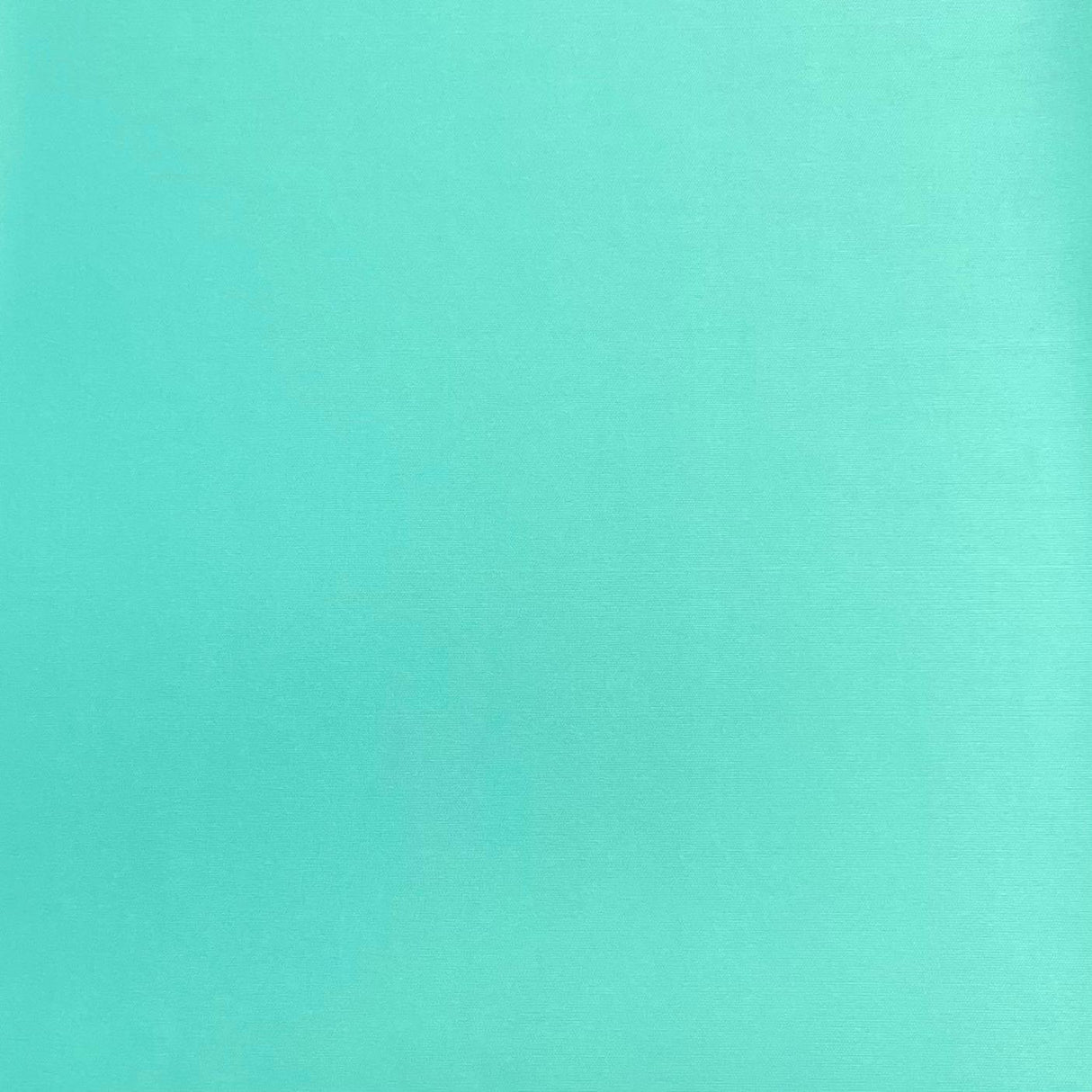 3 Metre Luxurious Plain Soft Jersey - 55" (Mint)