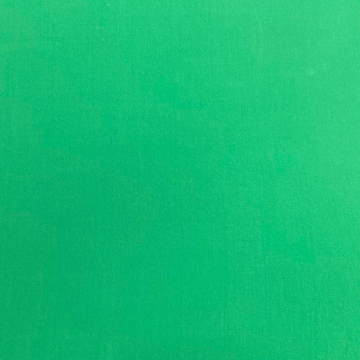 3 Metres Premium Quality Soft Cotton Jersey 55" Wide (Green)