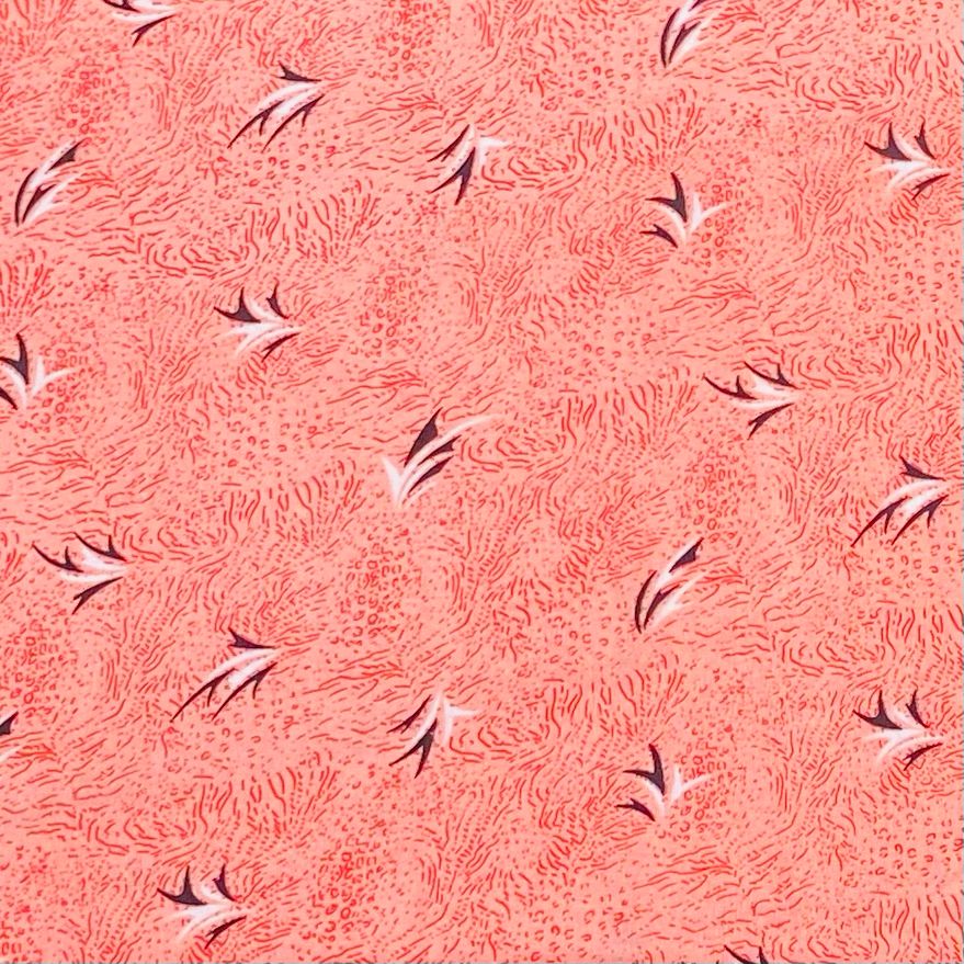 5 Metres Luxury 100% Cotton - 36" Wide (Peach)